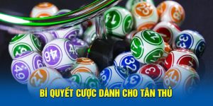 Bí quyết cược dành cho tân thủ