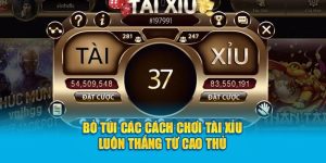 Bỏ Túi Các Cách Chơi Tài Xỉu Luôn Thắng Từ Cao Thủ