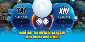 Nghe Hột Tài Xỉu Là Gì Và Bật Mí Cách Chuẩn Cho Newbie